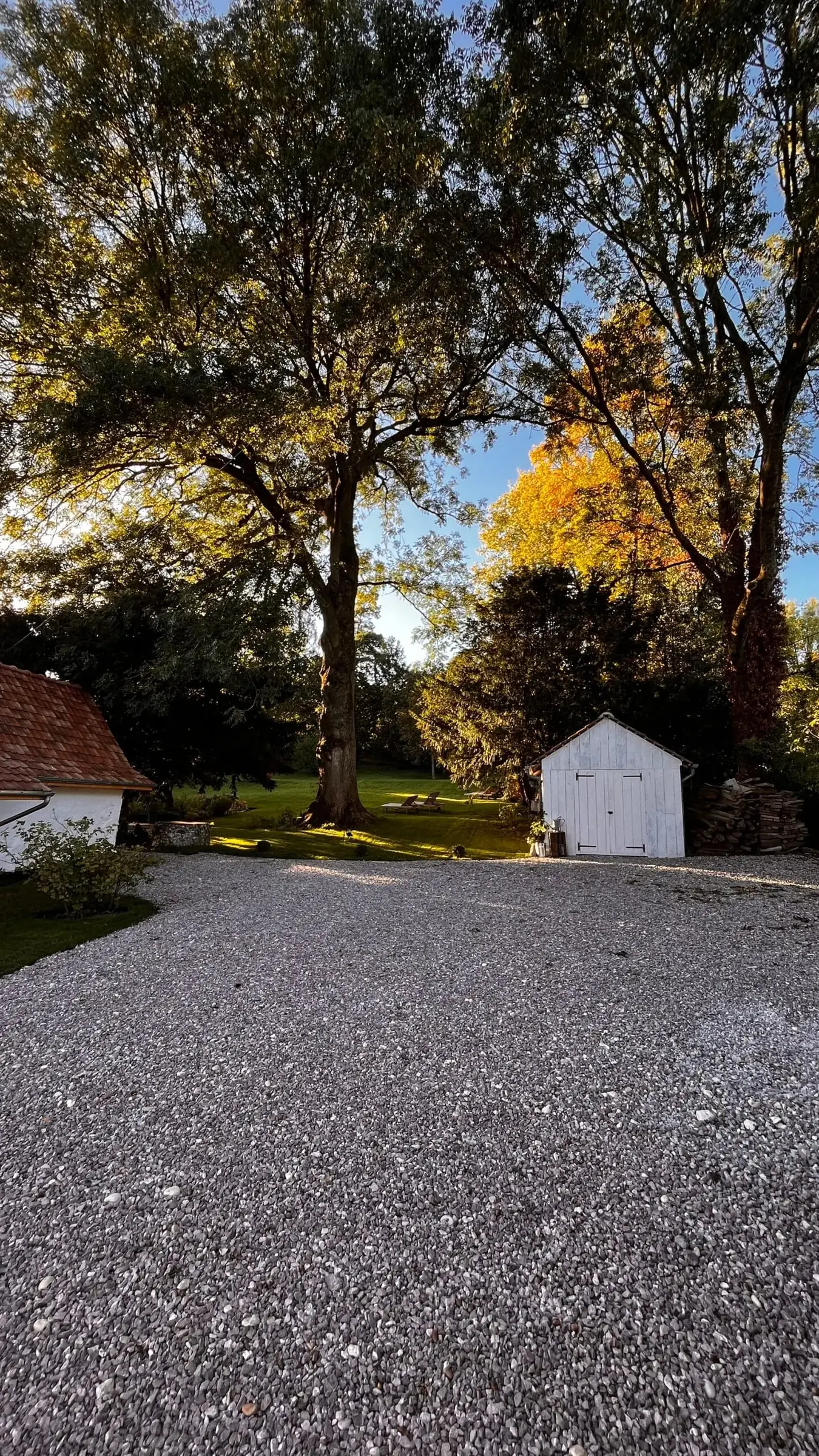 A gravel driveway leads to a white shed and small building at La Plonplonière, a maison d’hôtes en Côte d’Opale, surrounded by green grass, large trees, and sunlight filtering through the leaves on a clear day.
