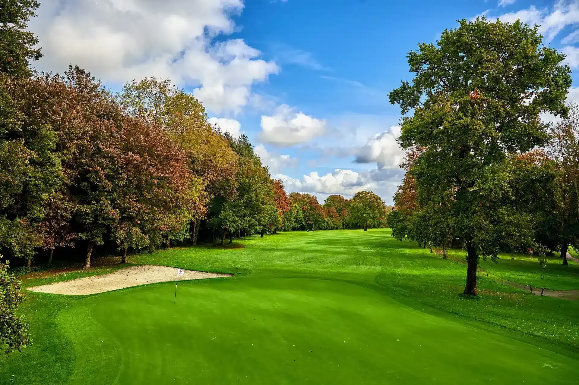 Saint Omer course 5