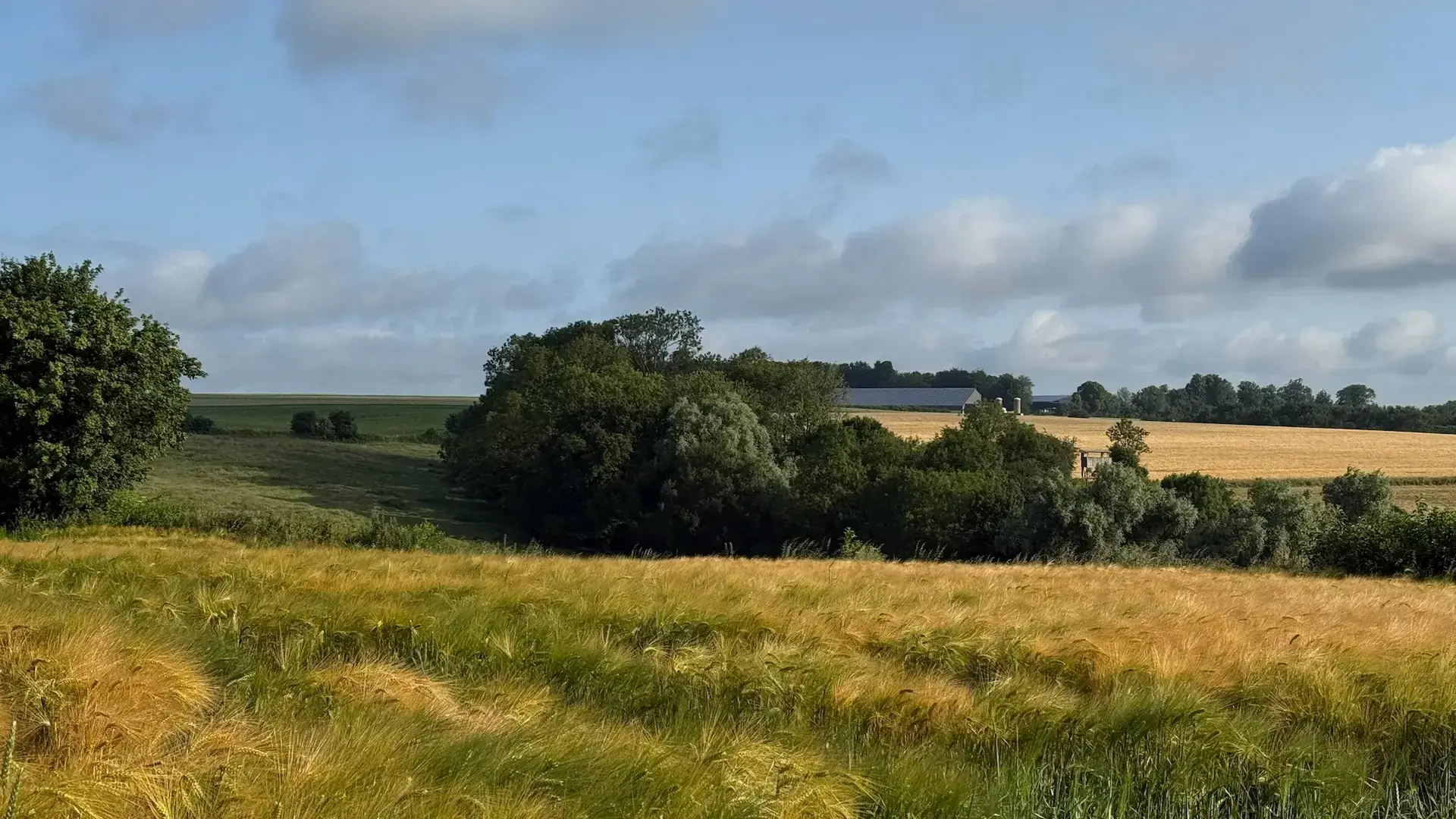 Randonnées et balades